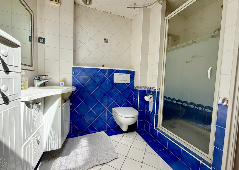 Maison T5 à vendre à Contamine Sur Arve