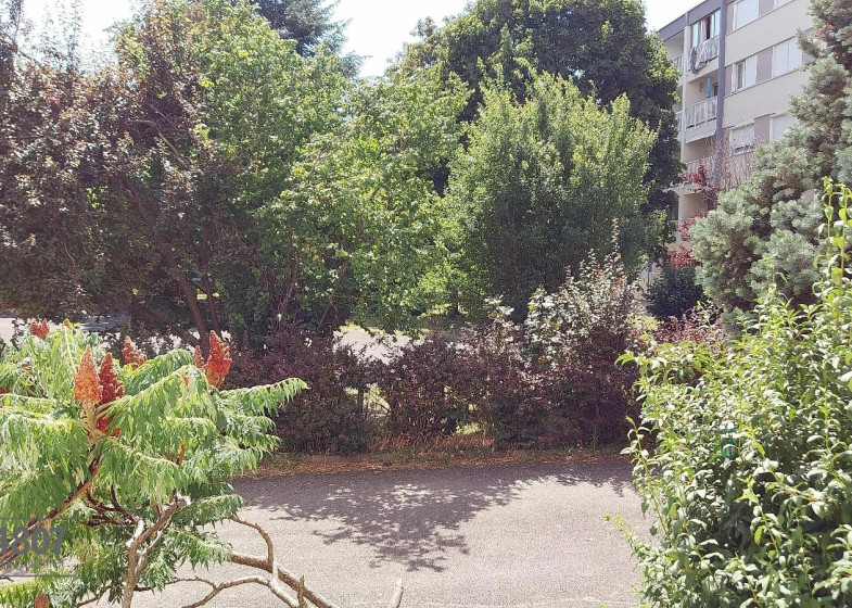 Appartement T2 à louer à Annemasse