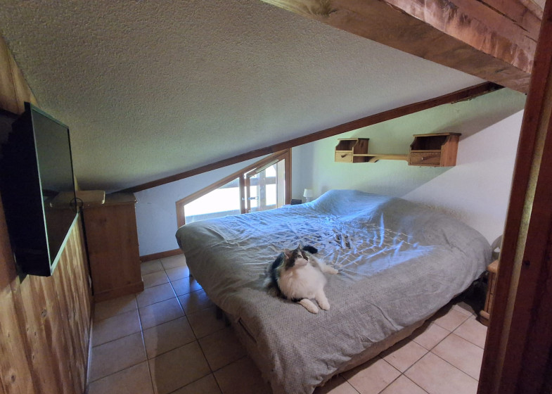 Appartement T4 à vendre à Praz Sur Arly