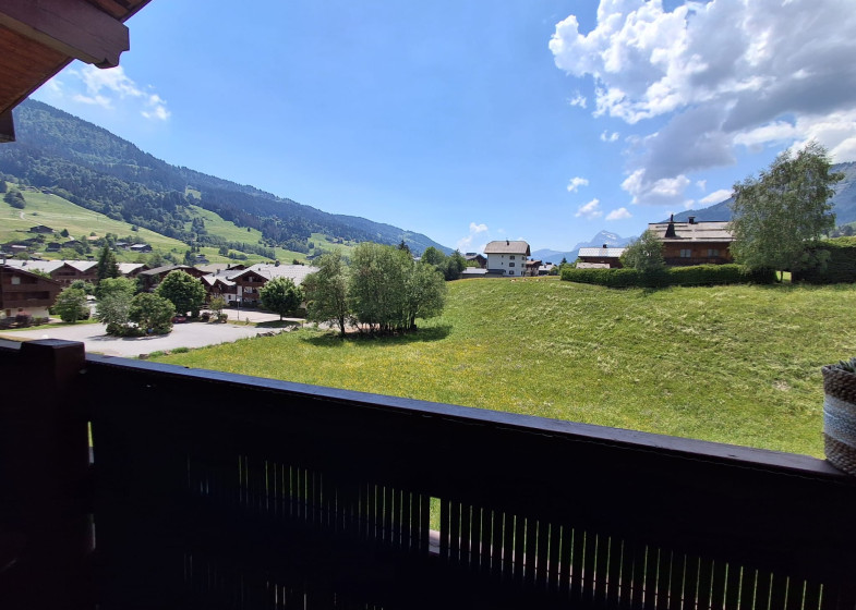 Appartement T4 à vendre à Praz Sur Arly