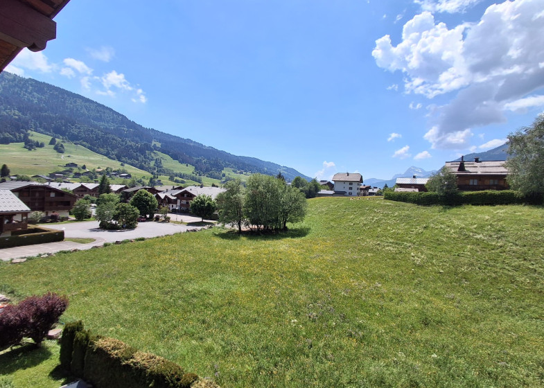 Appartement T4 à vendre à Praz Sur Arly