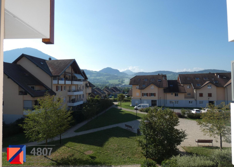 Appartement T3 à louer à Ville En Sallaz